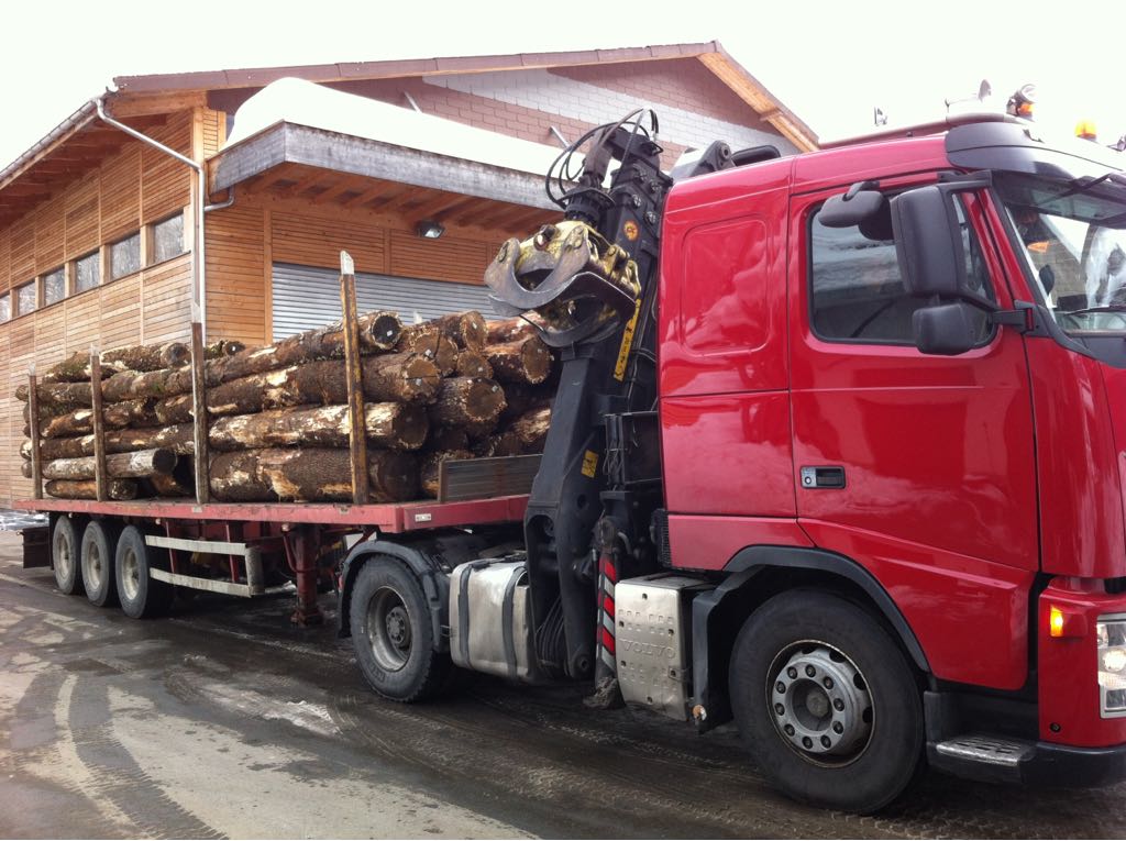 Lastwagen von Filippini Trasporti im Einsatz im Tessin – Foto 12