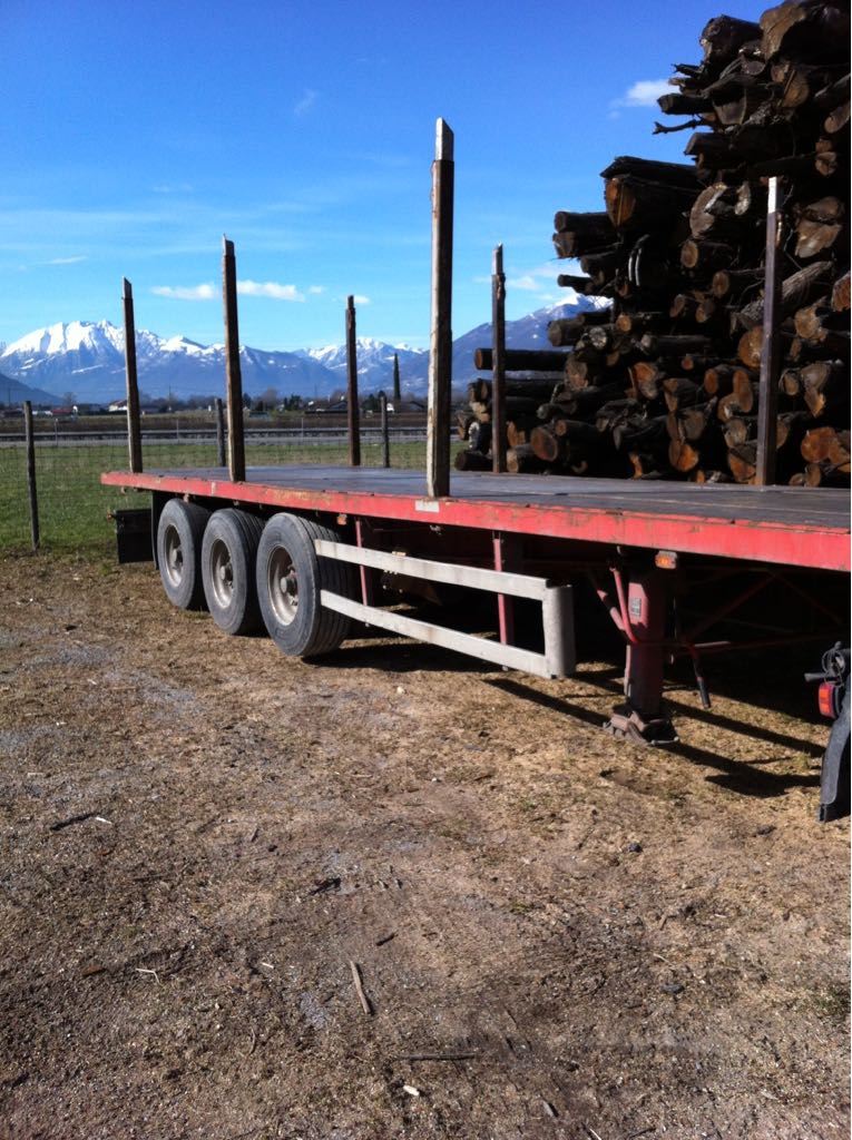 Lastwagen von Filippini Trasporti im Einsatz im Tessin – Foto 13